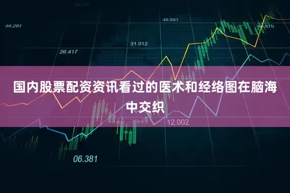 国内股票配资资讯看过的医术和经络图在脑海中交织