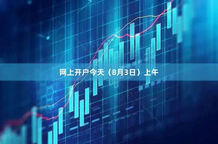 网上开户今天（8月3日）上午